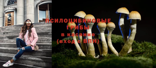 марихуана Дмитровск