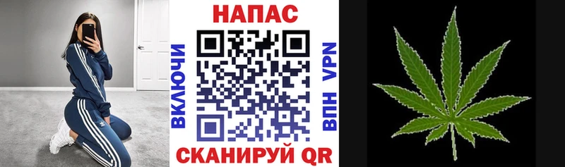 Шишки марихуана план  Купить закладки  Новоржев 